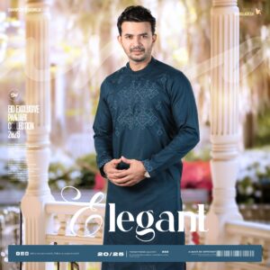 Premium Embroidery Panjabi-19927P