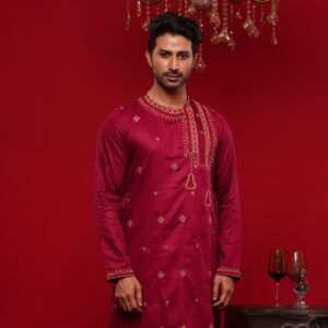 (Only Panjabi) Premium Embroidery Panjabi-20109P