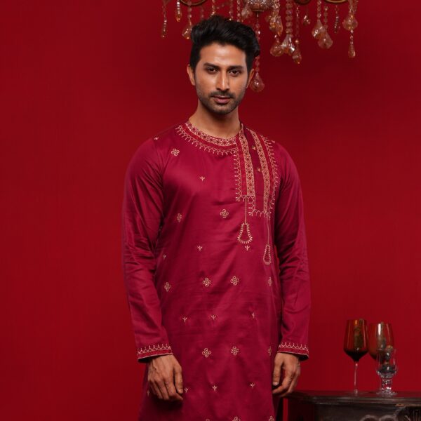 (Only Panjabi) Premium Embroidery Panjabi-20109P